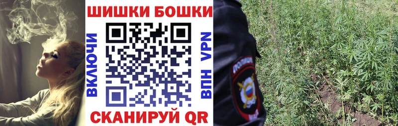 Купить  Макаров  Канабис планчик 